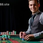 Tipbet88.site: A New Hub for Online Betting and Gaming Strategies